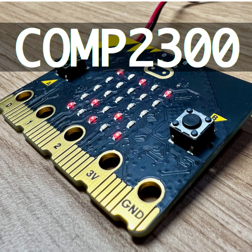 COMP2300 Extension